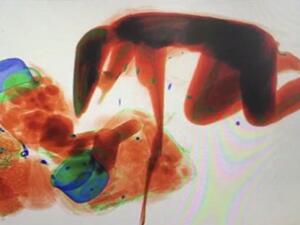 أصرّت امرأة على مرافقة "حقيبتها" ودخول جهاز الفحص بالأشعة السينية 