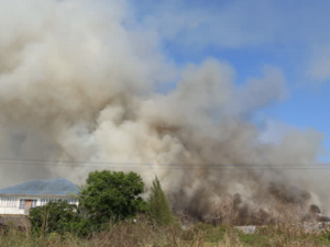 A representational image of smoke rising from the countryside. (Shutterstock)