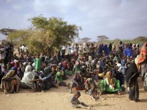  يفرون بسبب الجفاف الشديد 