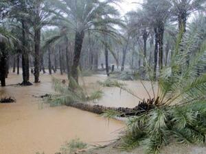 بعد سقطرى "المنكوبة".. دول عربية تتأهب لإعصار ماكونو
