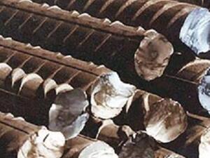 China’s exports of steel to Saudi Arabia amounted to about 163,000 tonnes in the first 10 months of 2014