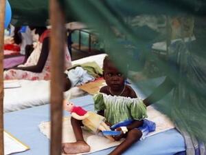 The combination of rising incomes and changing diets mean that by 2050, the world needs to produce 70 per cent more food globally, it highlighted.