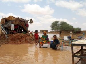 36 شخصا قتلوا في ولاية النيل ودمر خمسة الاف منزل