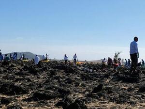 الوكالات تضم برنامج الأغذية العالمي والمفوضية السامية لشؤون اللاجئين