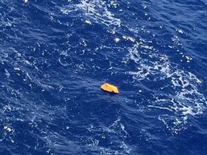 خبراء قالوا إن سقوط الطائرة المنكوبة بصاروخ سيناريو خيالي - ارشيف