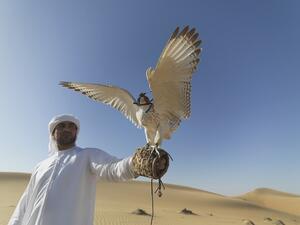 An Emirati man with his falcon. (Pixabay) An Emirati man with his falcon. (Pixabay)