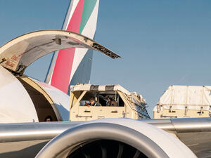 جرى نقل الخيول من مدينة لييج البلجيكية باتجاه غرينفيل