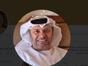 وزير الدولة الإماراتي للشؤون الخارجية أنور قرقاش