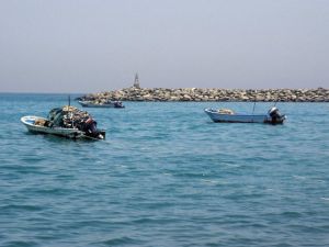 قوارب صيد بمحاذاة الشواطئ الاماراتية