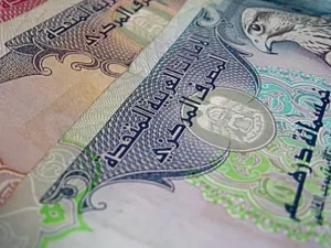 الدرهم الإماراتي 