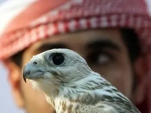 ارشيف