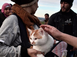 A Syrian woman holds her cat named Taboush, which she brought with her from Syria, at the makeshift camp at the Greek-Macedonian borders, near the village of Idomeni. (AFP/File)