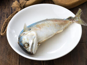 من فوائد السّمك أنه يعزز عمل الخلايا العصبيّة