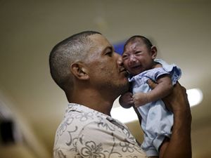 4 ملايين انسان سيصابون بـ "زيكا" في 2016 - ارشيف 