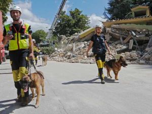 واصلت فرق الاغاثة عمليات البحث عن ناجين ليلا