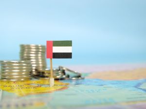 Abu Dhabi set buy stake in key Turkish port
