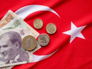 Turkish lira stumbles lightly, polling intensifies