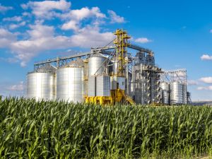 Unhealthy agrifood system adds trillions in hidden costs