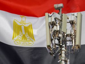 Gov’t sells 9.5% stake in Telecom Egypt 