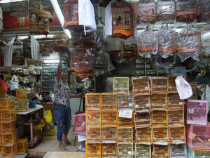 Here’s What Needs to Be Done in Animal Markets