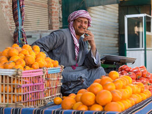 Egypt Overtakes Spain As the World’s Largest Orange Exporter