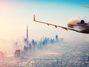 Dubai Mulls Automatic Residency Visa Renewal For Some Expats until Dec 9
