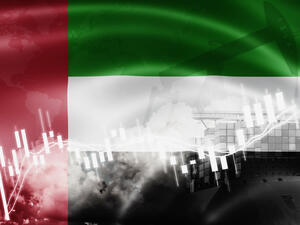 UAE: Total Assets of Central Bank Rise 6.6 Percent in December