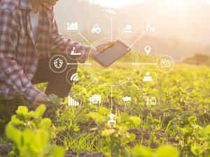 UAE: Agricultural Company Uses High-Tech to Achieve Food Security