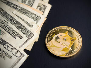 Crypto News Recap: Dogecoin, XRP Prices Soars As WallStreerBets’ Fever Hits The Crypto Sphere, Elon Pumps Bitcoin
