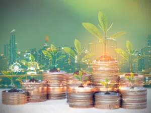 Can VAT Cuts Help The Post-Pandemic Economy?