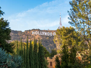 Hollywood’s Small Businesses in Crisis Due to COVID-19 