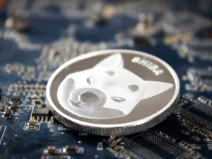 Shiba Inu Plummets From Record High As Musk Reveals He Owns None