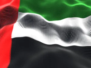 UAE Ranks Second Globally in Telecom Sector Quality