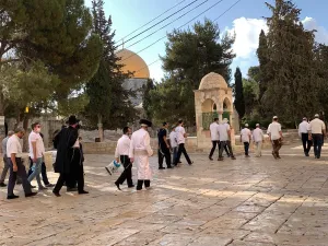 ارشيف