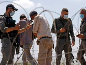 ارشيف