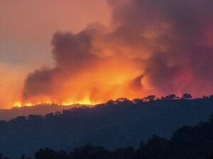 الحرائق تجتاح غابات شرقي الجزائر وتخلف قتيلين على الأقل