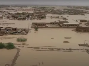 ارشيف