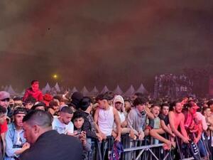 هياج البولفار