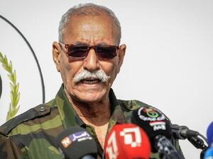 إبراهيم غالي