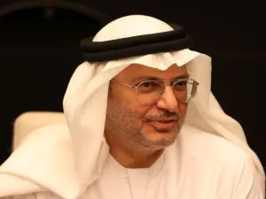 أنور قرقاش