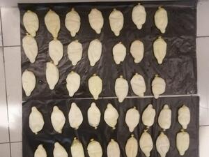 45 كبسولة كوكايين داخل أحشاء مسافر قادم للأردن