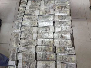 ضبط مليون دولار مزيفة بحوزة ٣ أشخاص شمالي الأردن