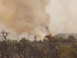 حرائق جديدة تندلع في غابات شمالي المغرب