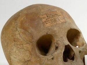 إحداها لتاجر رقيق عربي.. 