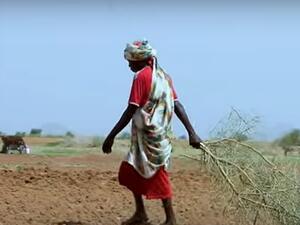 اشتباكات قبلية تخلف 7 قتلى في جنوب دارفور