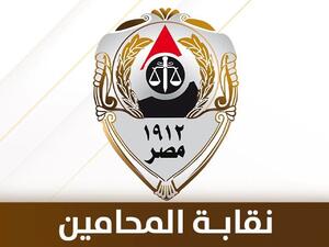 نقابة المحامين المصريين تعلن الاضراب الشامل