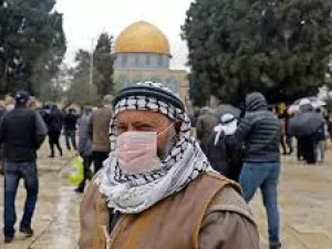ارشيف