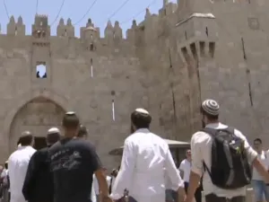 ارشيف