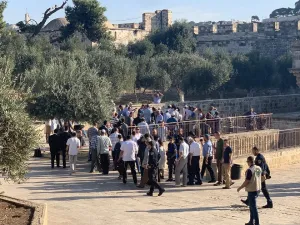 مئات المستوطنين يقتحمون الأقصى عشية يوم "الغفران" اليهودي