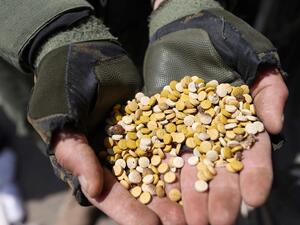 عقوبات اميركية على قريبين للأسد بتهمة تهريب المخدرات